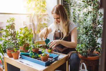 5 Coolest and Most Unique Planters You Can Buy Online Right Now