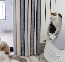 Top 5 Automatic Self Cleaning Litter Box for Cats At Litter Robot